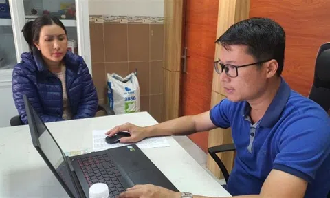 Khởi tố cặp vợ chồng làm Tổng giám đốc tại hai công ty