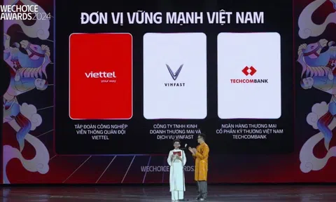 Techcombank được vinh danh “Đơn vị vững mạnh” tại WeChoice Awards 2024 vì đóng góp tích cực cho cộng đồng