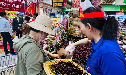 100 tấn cherry Chile chính thức “đổ bộ” vào hệ thống Saigon Co.op