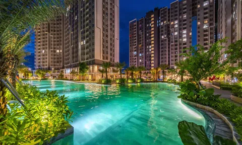 An Gia (AGG) và “bước đi” chiến lược chinh phục thị trường trung cấp