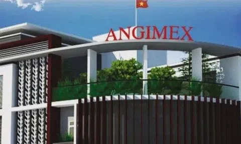 Ladophar vẫn chưa thể thoái vốn tại Angimex