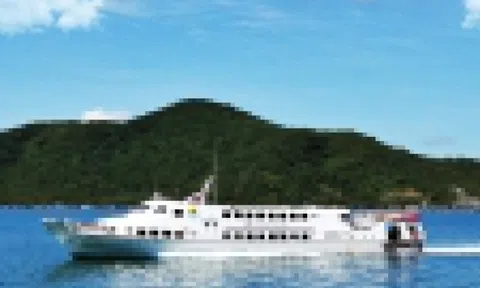 Hãng tàu cao tốc đi Phú Quốc, Phú Quý lỗ nặng cuối năm 2024