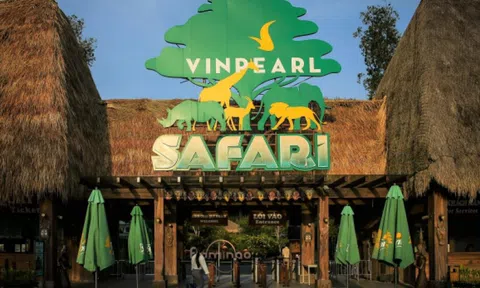 Vinpearl của tỷ phú Phạm Nhật Vượng lãi đậm trước thềm niêm yết