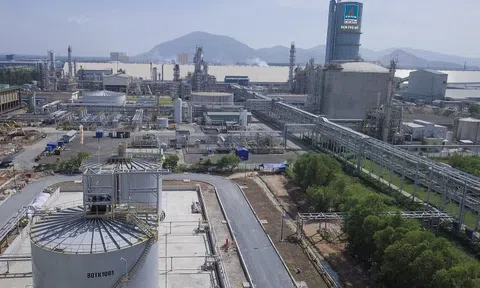 Chỉ 1 tháng đầu năm, một doanh nghiệp Việt Nam báo cáo doanh thu hơn 77.000 tỷ đồng