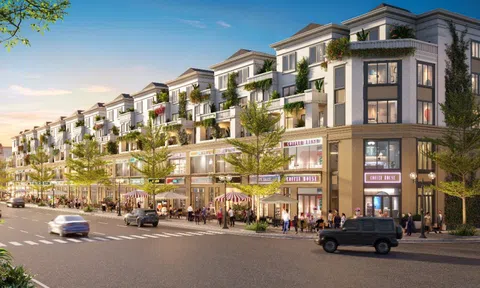 Square City – Vùng đất lợi nhuận dành cho các nhà đầu tư