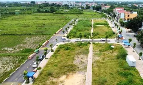 Thanh Hóa liên tiếp tổ chức 13 phiên đấu giá 361 lô đất