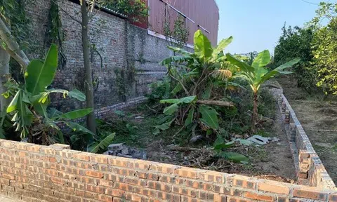 Lão nông bỗng dưng thành…“tỷ phú” nhờ bán đất, cầm tiền tỷ mà run tay