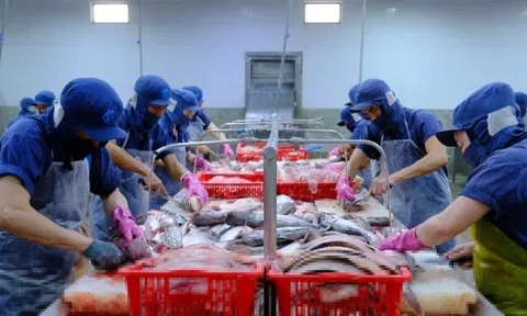 Lo hao tổn hơn 7.200 tỷ mỗi năm, doanh nghiệp kiến nghị 'nóng'