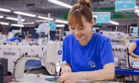 TNG muốn hủy kế hoạch chào bán cổ phiếu cho cổ đông, chia cổ tức 2024 bằng tiền