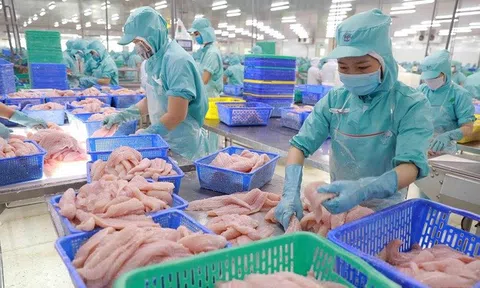 Xuất khẩu thủy sản có dấu hiệu chững lại trước loạt thách thức