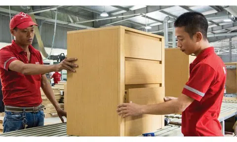 Ngành gỗ đang bị "soi", DN xuất khẩu chấp nhận hy sinh lợi nhuận, tăng tiền quảng bá, mở rộng thị trường