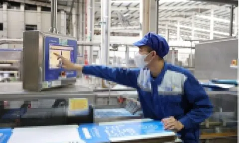 2 công ty thuộc Tập đoàn TH nhận chứng nhận trung hòa carbon quốc tế