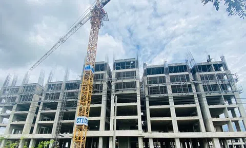 Xác định 7 nhóm vướng mắc gây tắc nghẽn việc cấp 'sổ hồng' ở TPHCM