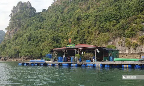 Hơn 190 tỷ đồng hoàn thiện hạ tầng Vườn quốc gia Cát Bà