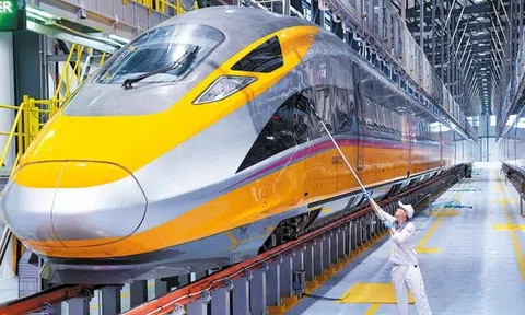 Một công ty muốn làm cáp ngầm dự án đường sắt tốc độ cao Bắc - Nam