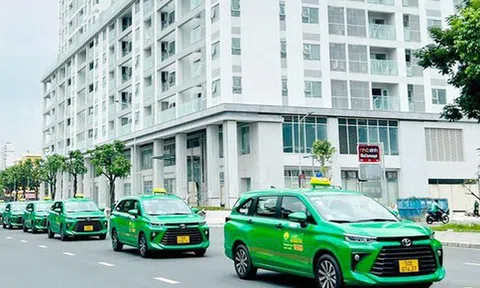 Tập đoàn Mai Linh rút bớt loạt ô tô thế chấp ngân hàng