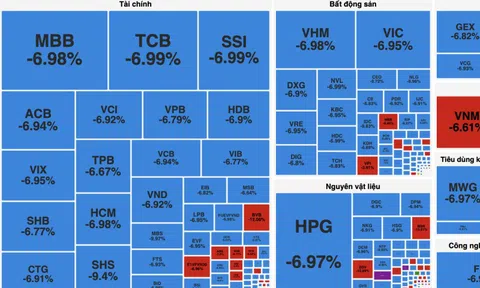Chứng khoán giảm mạnh nhất lịch sử, hơn 400 mã nằm sàn