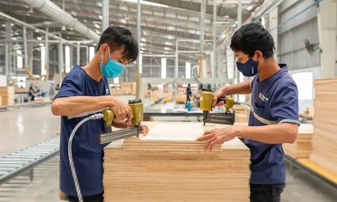 Đối tác Mỹ muốn chia sẻ thuế quan với doanh nghiệp Việt Nam