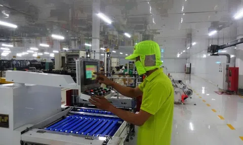 Nhựa Rạng Đông ngừng hoạt động, hầu hết nhân viên nghỉ việc