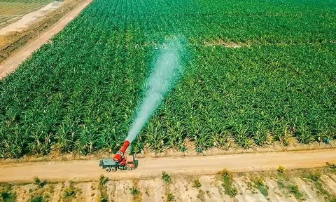 HAGL Agrico bất ngờ không còn bán hàng dưới giá vốn sau khi cổ đông “truy vấn”, quý 1/2025 lỗ thêm 84 tỷ, lỗ luỹ kế gần 9.500 tỷ đồng