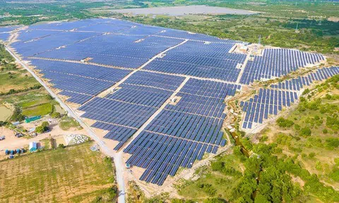 Lộ diện 4 "ông lớn" năng lượng tái tạo Thái Lan đang gặp khó khăn tại Việt Nam, có tập đoàn với 8 dự án trải khắp miền Nam