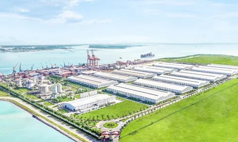 Quảng Nam chấp thuận chủ trương cho Công ty Đại Quang Minh làm dự án 7.200 tỉ