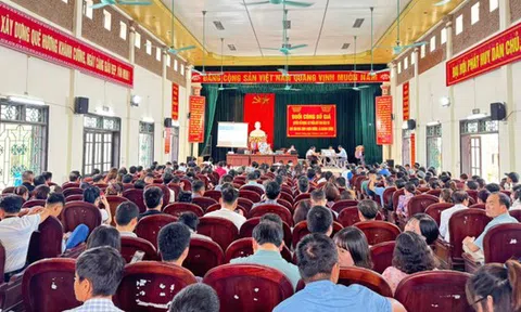 Ninh Bình: Thu về gần 500 tỷ đồng sau 6 phiên đấu giá, vượt hàng trăm tỷ đồng so với tổng giá khởi điểm