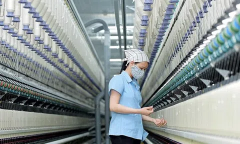 Thành lập Trung tâm Dịch vụ và Hỗ trợ doanh nghiệp Hà Nội