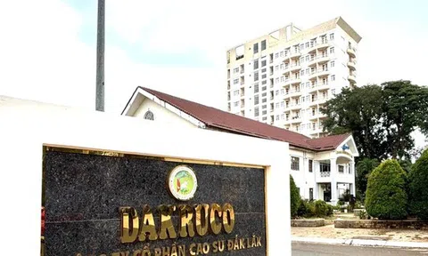 Truy tìm nguyên Tổng Giám đốc Công ty du lịch Bản Đôn