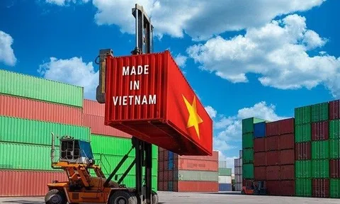 Trước thềm đàm phán: Gemadept, CII, BAF... lên tiếng về tác động của chính sách thuế đối ứng từ Mỹ, Hội DN gỗ, dệt may, thuỷ sản đưa giải pháp ứng phó