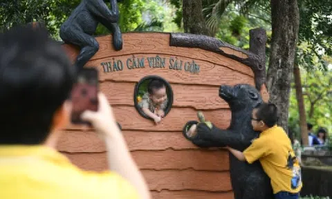 Thảo Cầm Viên mất hơn một nửa lợi nhuận quý I