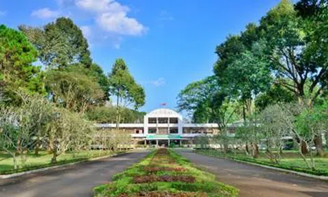 Thu hồi hơn 5 triệu m2 đất từ Công ty Cao su Đồng Nai