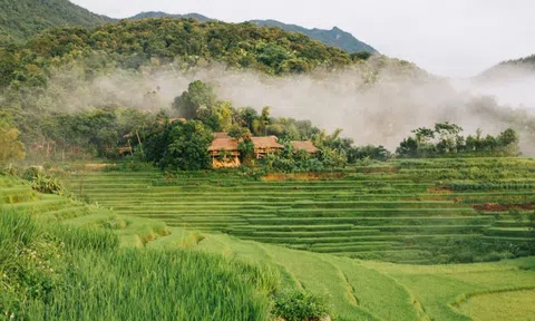 Đa dạng sinh học – “vàng ròng” của Thanh Hóa trên bản đồ du lịch Việt