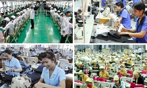 Thành phố Huế: Hơn 5.000 lao động được giải quyết việc làm