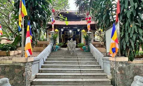 Hà Nội: Cưỡng chế thu hồi đất của 61 hộ để làm dự án Tu bổ, tôn tạo di tích Gò Đống Thây