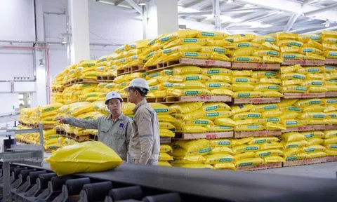 Mới 3 tháng đầu năm, một doanh nghiệp Việt đã ghi nhận doanh thu hơn 240.000 tỷ đồng