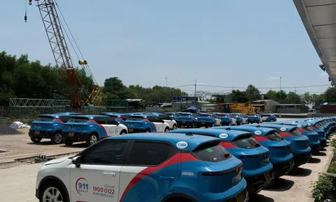 Công ty 911 thông qua giao dịch 680 tỷ đồng với Vincons thuộc hệ sinh thái Vingroup, cũng đặt kỳ vọng vào điện hạt nhân Ninh Thuận