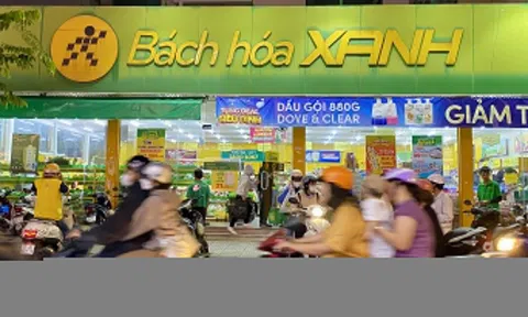 CEO Bách Hóa Xanh muốn 'chốt lời' 200.000 cổ phiếu Thế Giới Di Động
