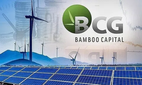 Bamboo Capital (BCG) bị xử phạt 92,5 triệu đồng vì lỗi “ém” thông tin