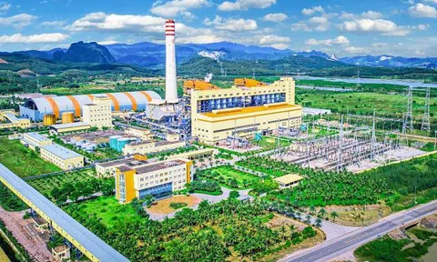 Nhiệt Điện Thăng Long lên tiếng về sai sót trong công văn công bố tình hình tài chính