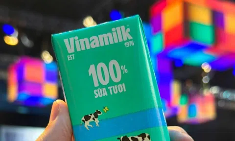 Vinamilk giữ khối 'tiền tươi' gần 1 tỷ USD