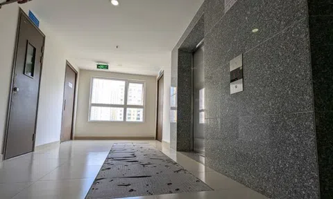 Chuyên gia lên tiếng vụ căn hộ ở TPHCM nghi bị nứt tường do động đất từ Myanmar