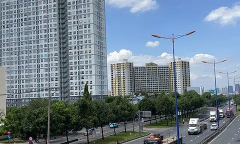Cấp sổ hồng 2025 tại TP HCM: 11.860 hồ sơ chuyển cơ quan thuế