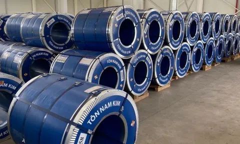 Công ty Hàn Quốc không mua cổ phiếu phát hành thêm, không còn là cổ đông lớn tại Thép Nam Kim