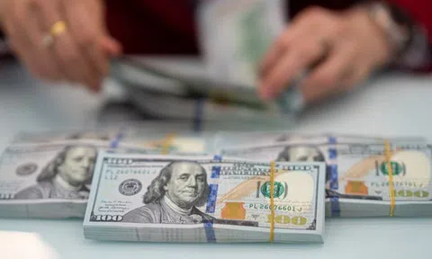 Tỷ giá hôm nay 21/1: USD ngân hàng lao dốc, USD tự do lại tăng