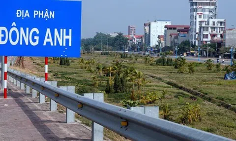 Nhà đầu tư quan tâm mạnh đến đất nền Đông Anh, giao dịch diễn biến "lạ"?