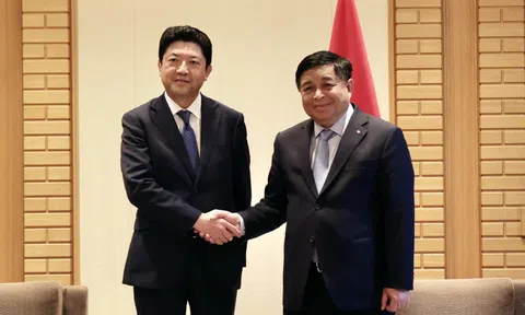 Phó Thủ tướng Nguyễn Chí Dũng tiếp doanh nghiệp Nhật Bản