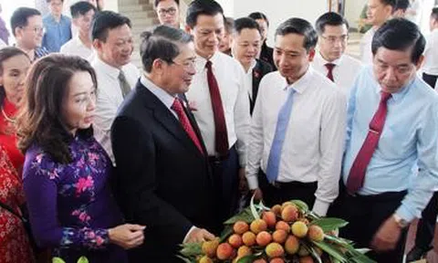 Vải thiều sẵn sàng xuất ngoại, giá cao