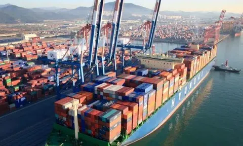 Doanh nghiệp vận tải biển nguy cơ bị 'bào mòn' lợi nhuận