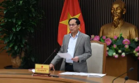 Phó thủ tướng Bùi Thanh Sơn họp tổ công tác về thương mại với Mỹ